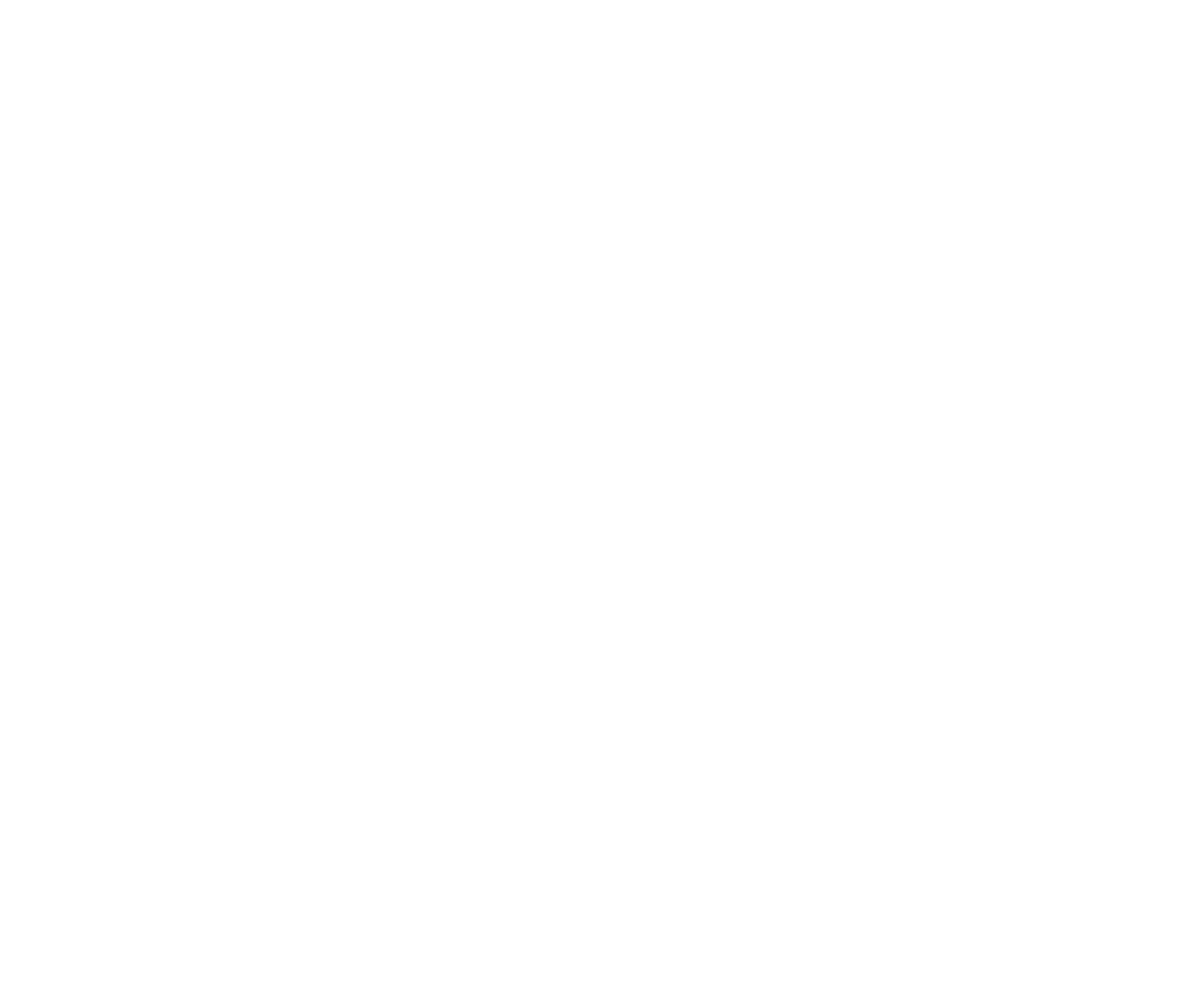 The Flatlander