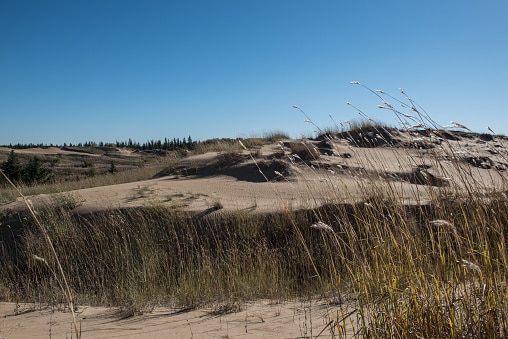 Spirit Sands desert in Spruce Woods Provincial Park in southern Manitoba.